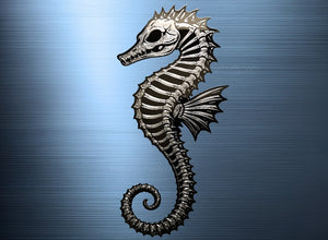 Skeletal Seahorse